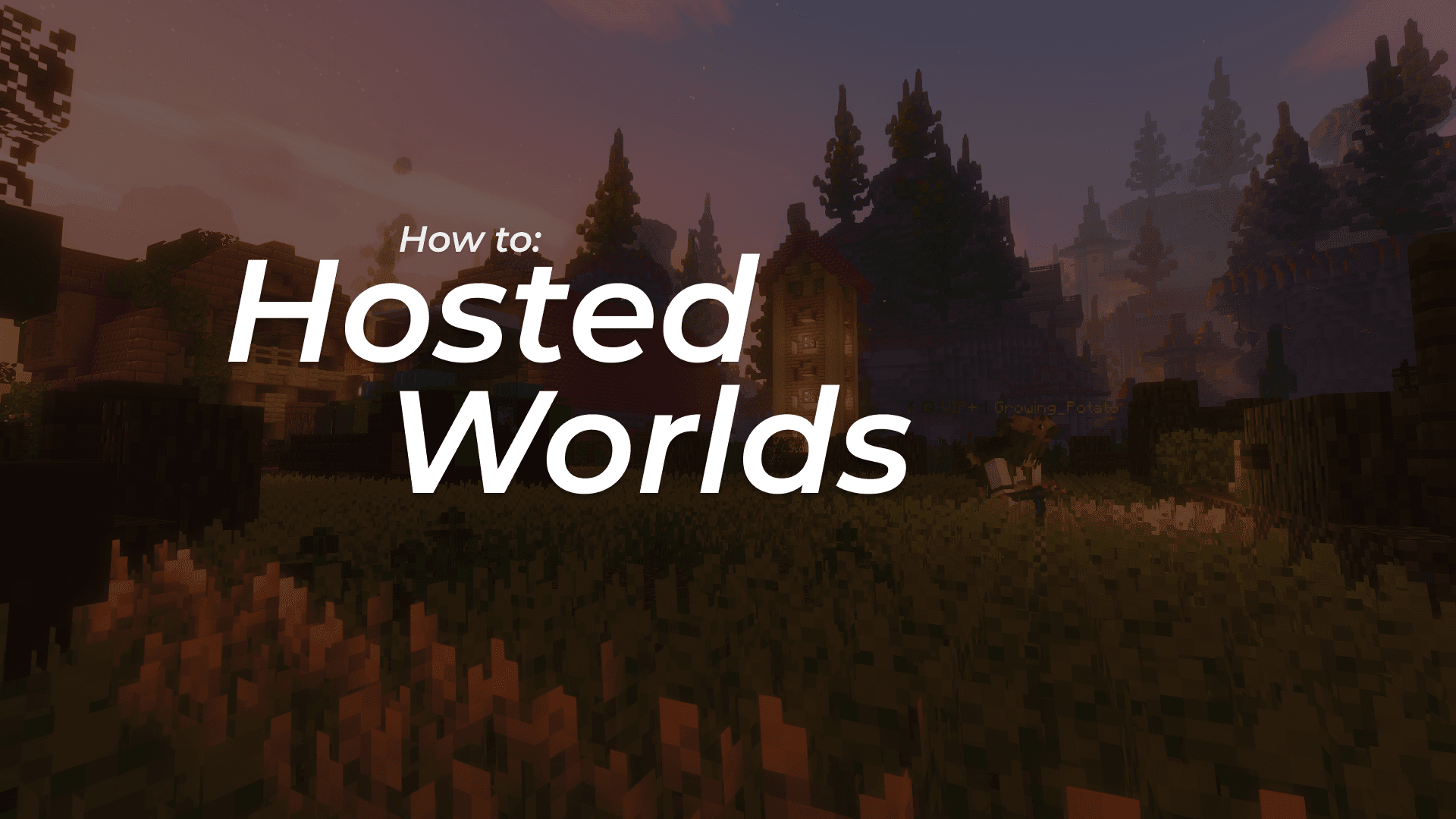 Anleitung „Hosted Worlds" im NoRisk Client – Minecraft-Screenshot zeigt ein atmosphärisches Dorf mit Holzhäusern, Fichtenwald und einem Spieler in der Abenddämmerung.
